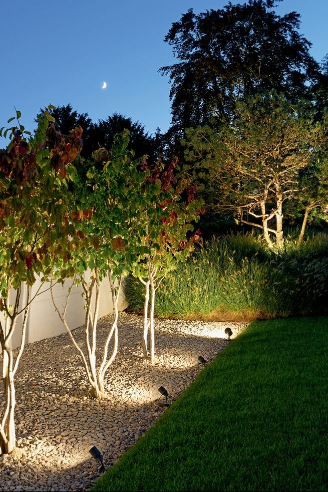 garden lights